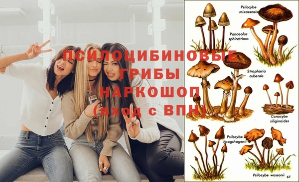 синтетический гашиш Белоозёрский
